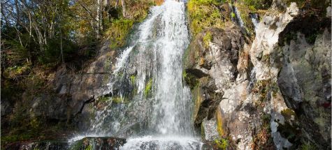 Balade nature - La cascade du Hohwald