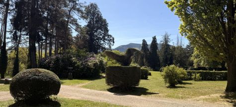 Visite libre du parc et des jardins