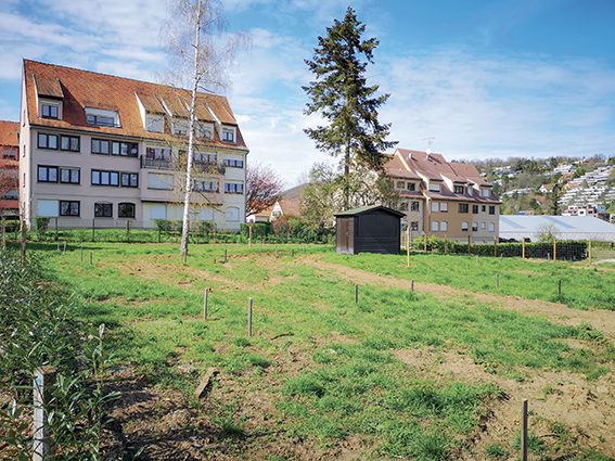 Les Jardins partagés d'Obernai