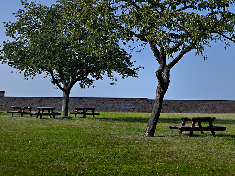 Le Parc de la Léonardsau ©Stephane Spach