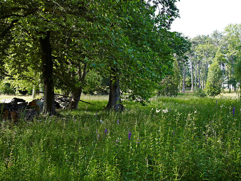 Le Parc de la Léonardsau ©Stephane Spach