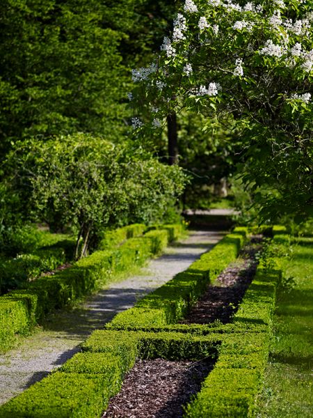 Le Parc de la Léonardsau ©Stephane Spach