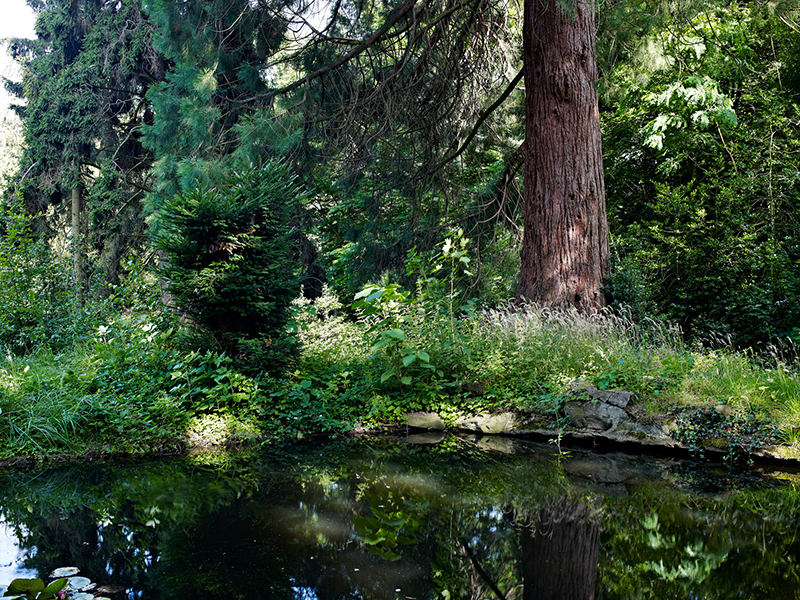 Le Parc de la Léonardsau ©Stephane Spach