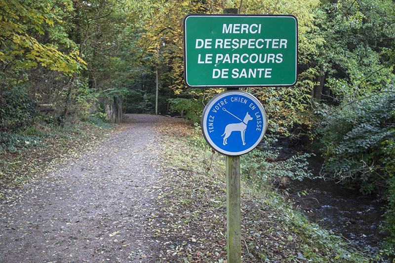 Le Parcours de santé d'Obernai - Photo : Paul Seners