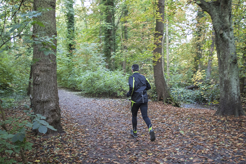 Le Parcours de santé d'Obernai - Photo : Paul Seners