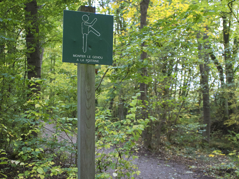 Le Parcours de santé d'Obernai - Photo : Paul Seners