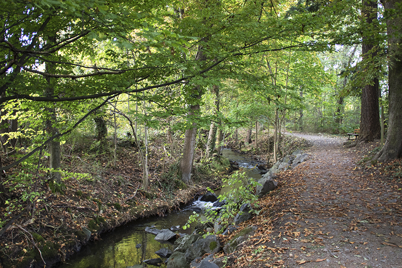 Le Parcours de santé d'Obernai - Photo : Paul Seners