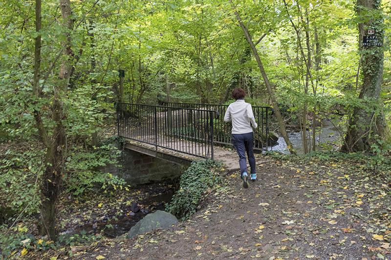 Le Parcours de santé d'Obernai - Photo : Paul Seners