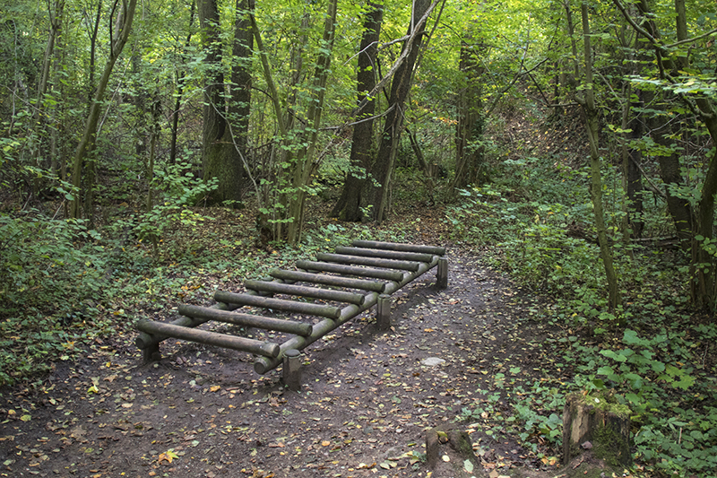 Le Parcours de santé d'Obernai - Photo : Paul Seners