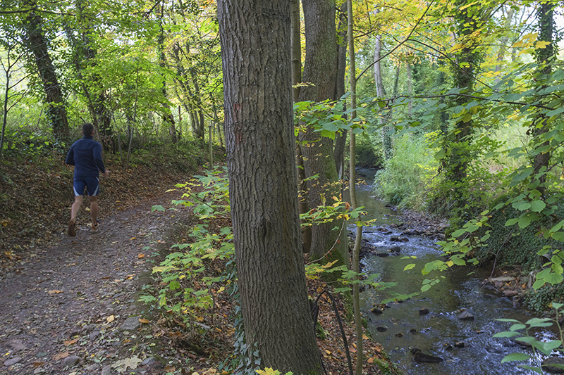 Le Parcours de santé d'Obernai - Photo : Paul Seners