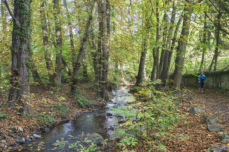 Le Parcours de santé d'Obernai - Photo : Paul Seners