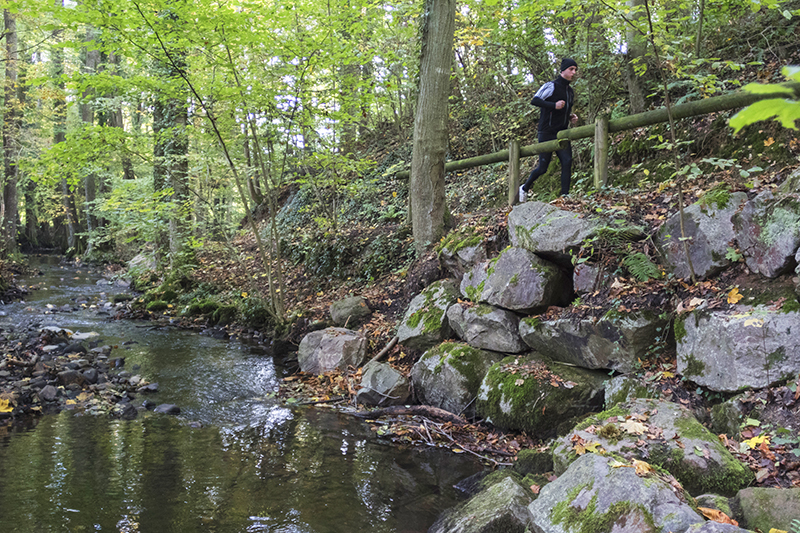 Le Parcours de santé d'Obernai - Photo : Paul Seners