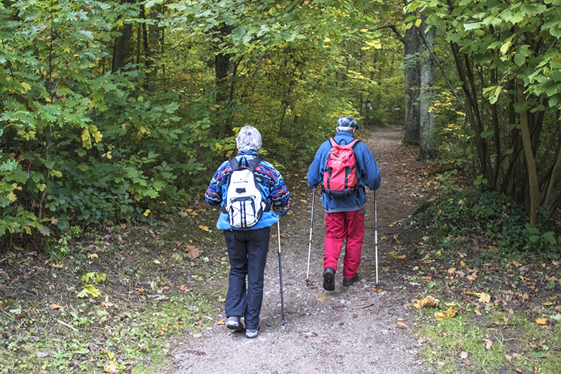 Le Parcours de santé d'Obernai - Photo : Paul Seners