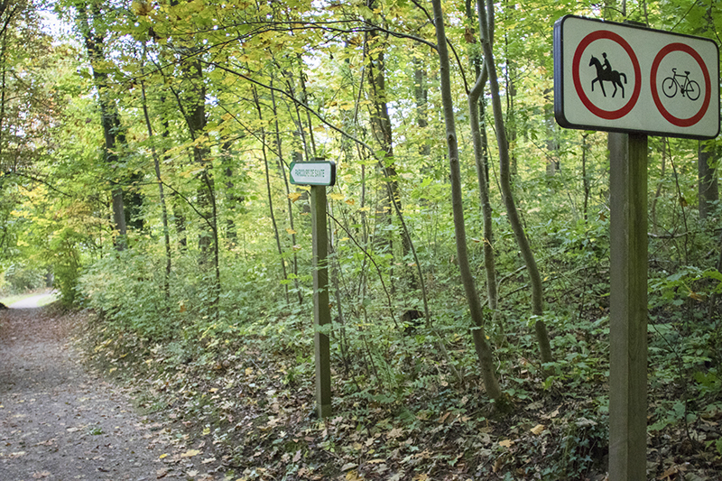 Le Parcours de santé d'Obernai - Photo : Paul Seners