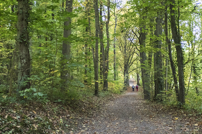 Le Parcours de santé d'Obernai - Photo : Paul Seners