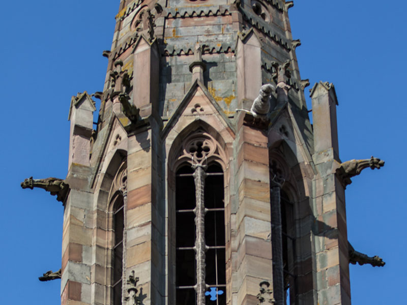 L'église avant restauration ©Ville d'Obernai