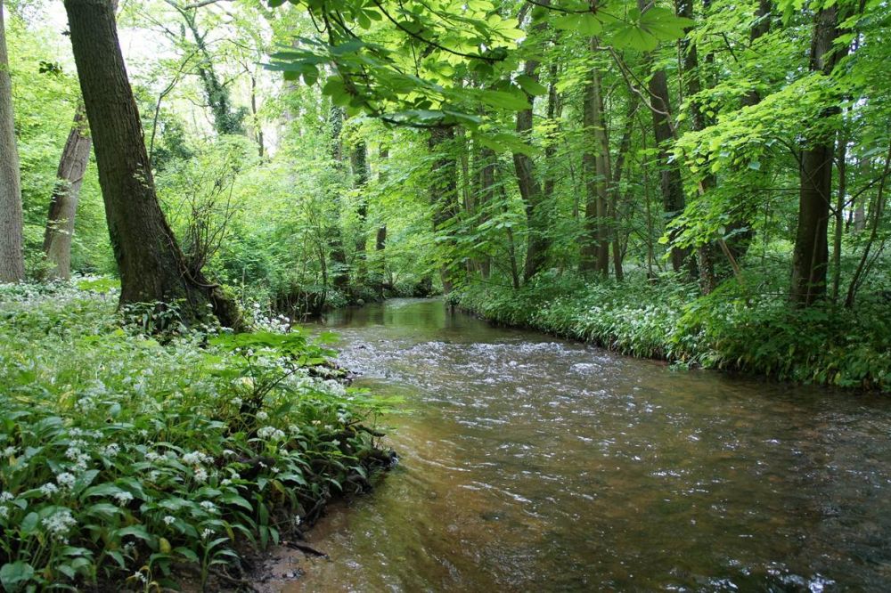 SENTIER DE L'EHN