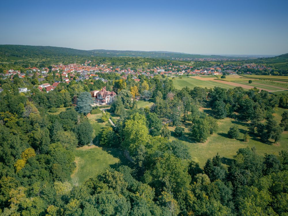 Le Domaine de la Léonardsau ©Jérémy Koller